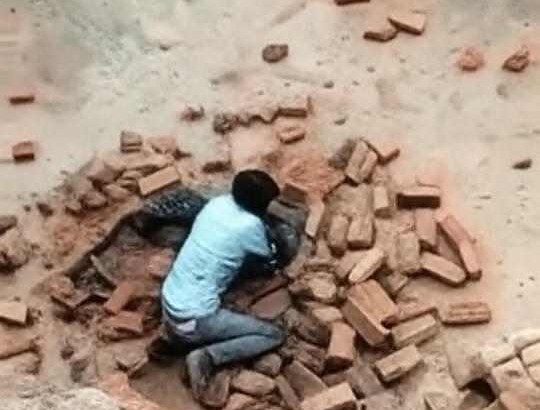 लखीमपुर खीरी में ईंट भट्ठे पर तेंदुए का हमला: नौजवान घायल, दिखाई बहादुरी