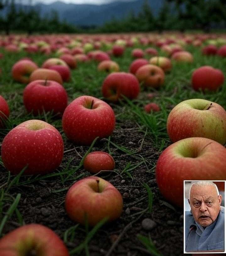 On rotting apples in Kashmir, Farooq Abdullah said - 'This is Allah's anger because we do not offer Namaz!'
