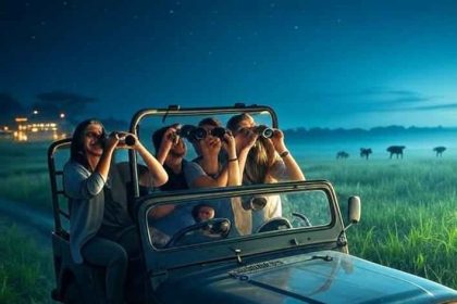 प्रयागराज में नाइट सफारी का धमाका! ब्लैक बक रिजर्व में काले हिरणों के बीच रात का रोमांच